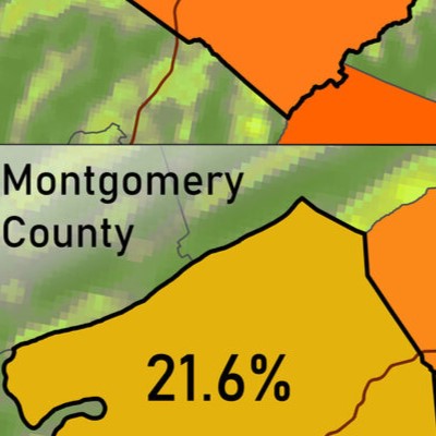 Virginia Demographic Series